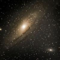 Chance glimpse of star collapse offers new insight into black hole formation