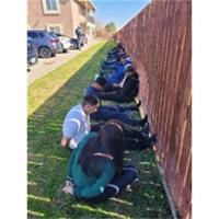 U.S. Border Patrol agents disrupt alien smuggling operation | News U.S. Border Patrol agents disrupt alien smuggling operation