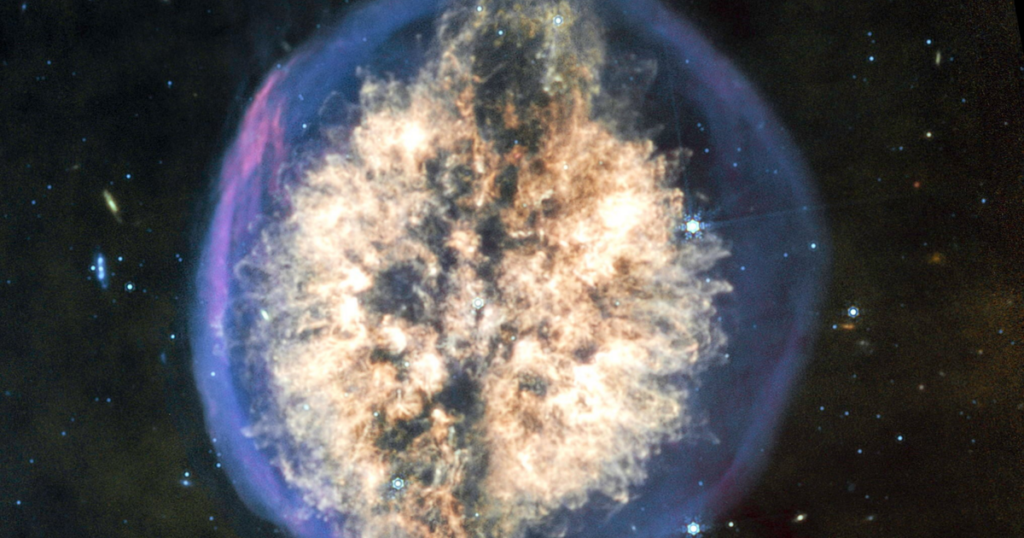 James Webb Space Telescope spots giant cosmic ‘brain’ | National James Webb Space Telescope spots giant cosmic ‘brain’