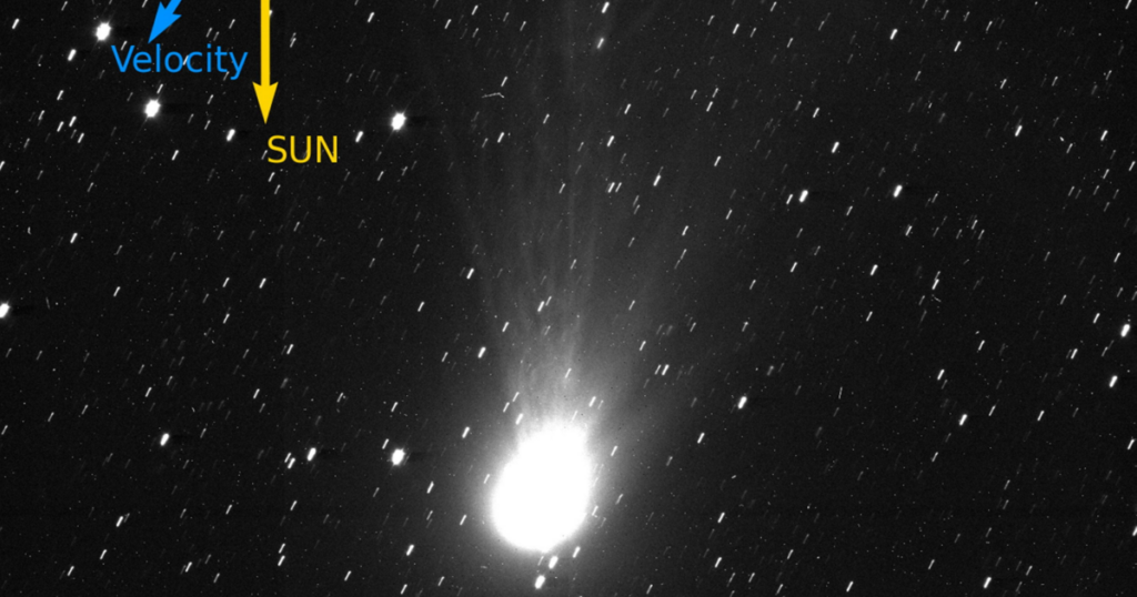 Mysterious space rock captured passing by our solar system | National Mysterious space rock captured passing by our solar system