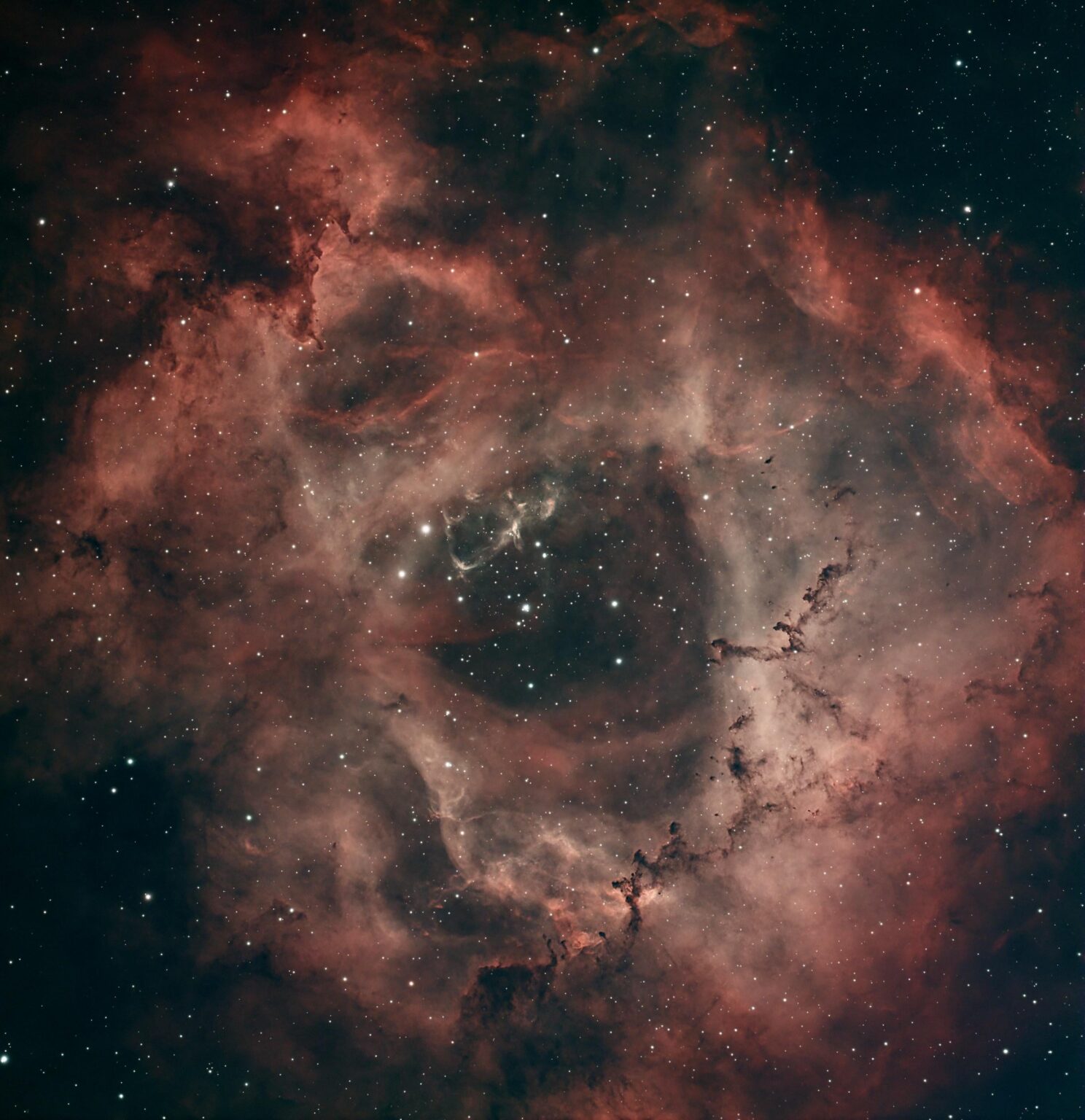 1,5 hour NGC2239, rosette nebule 1,5 hour NGC2239, rosette nebule
