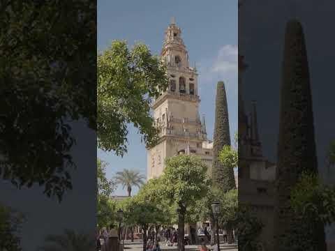 The Moors were a group of North Africans who conquered and ruled Spain for nearly 781 years,