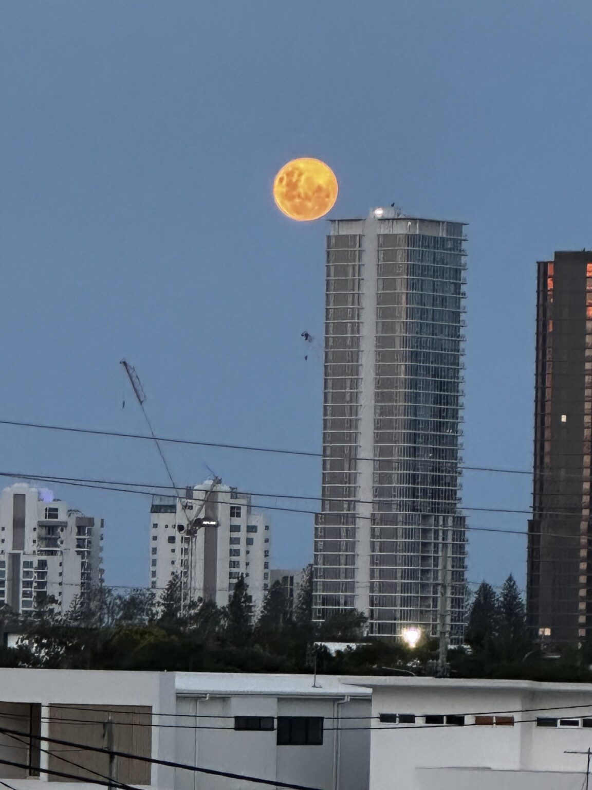 Big full moon tonight 😍😍 Gold Coast, Australia