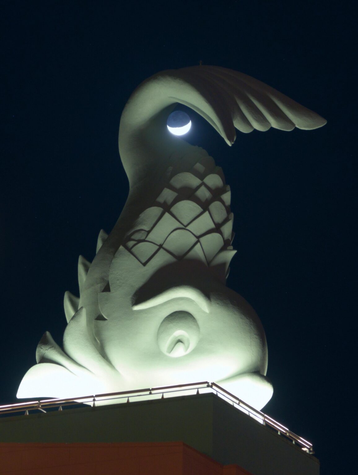 The Dolphin & the Moon