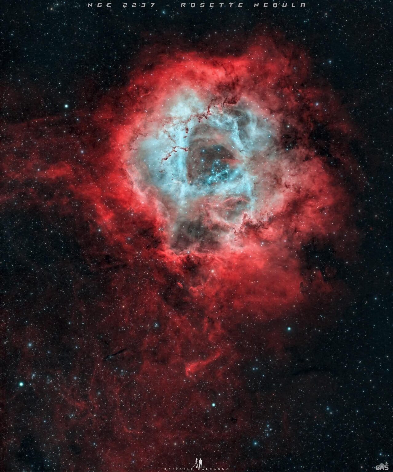 The Rosette Nebula by Raffaele Calcagno