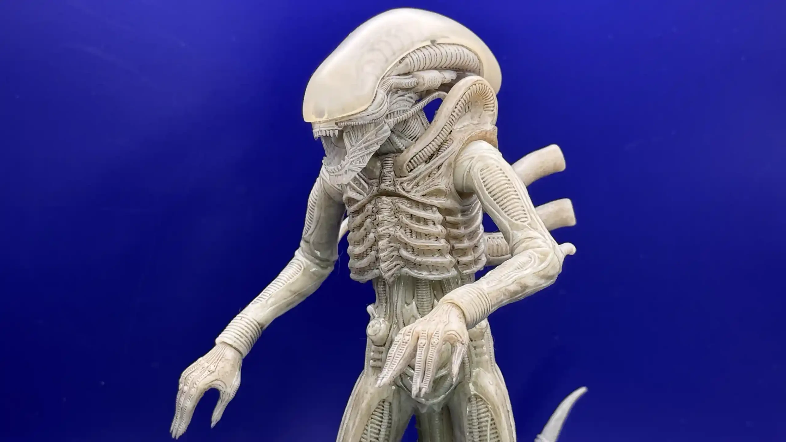 Alien Xenomorph Twelfth Scale Concept Edition Exclusive Figure Review13