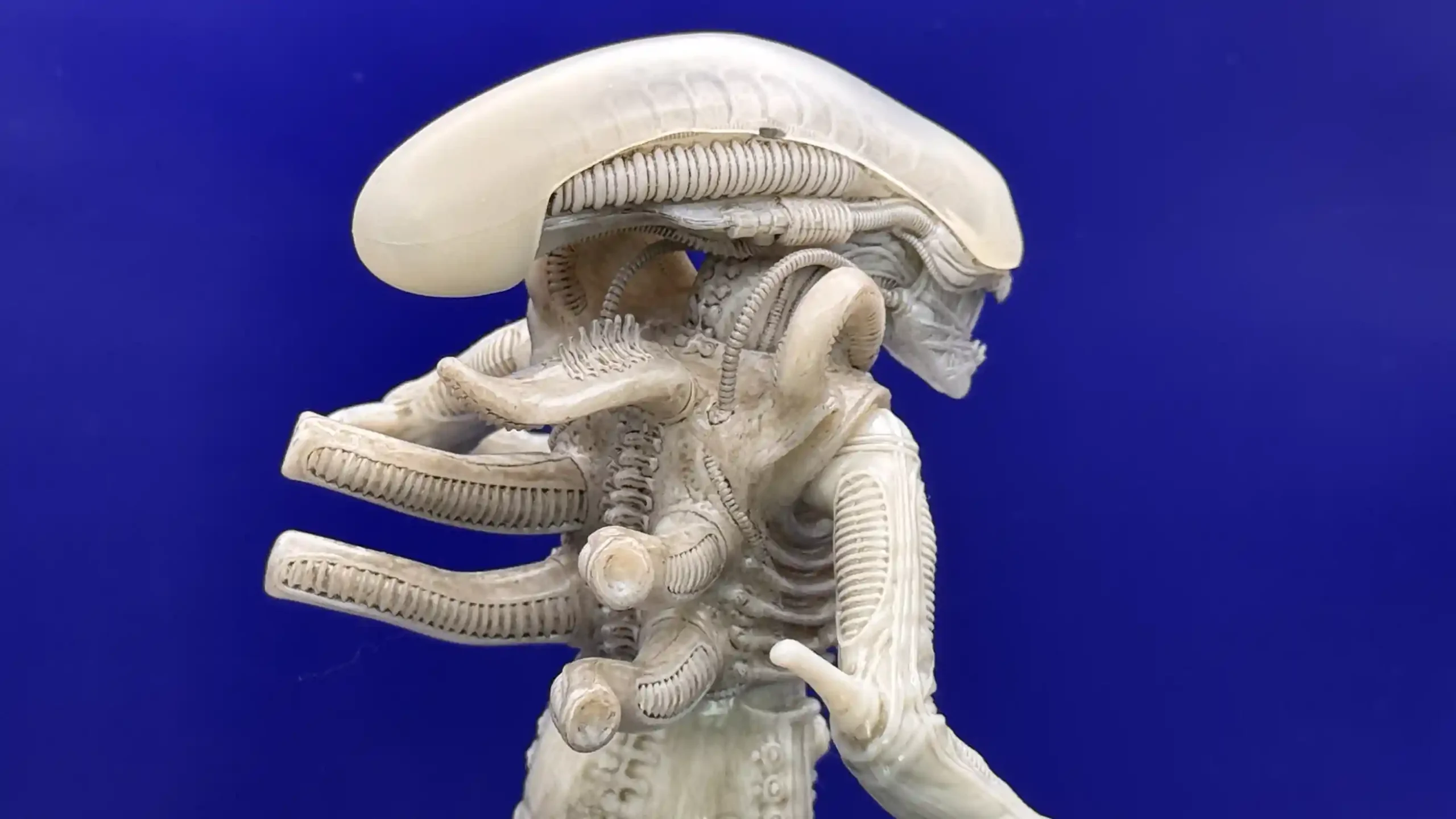 Alien Xenomorph Twelfth Scale Concept Edition Exclusive Figure Review15