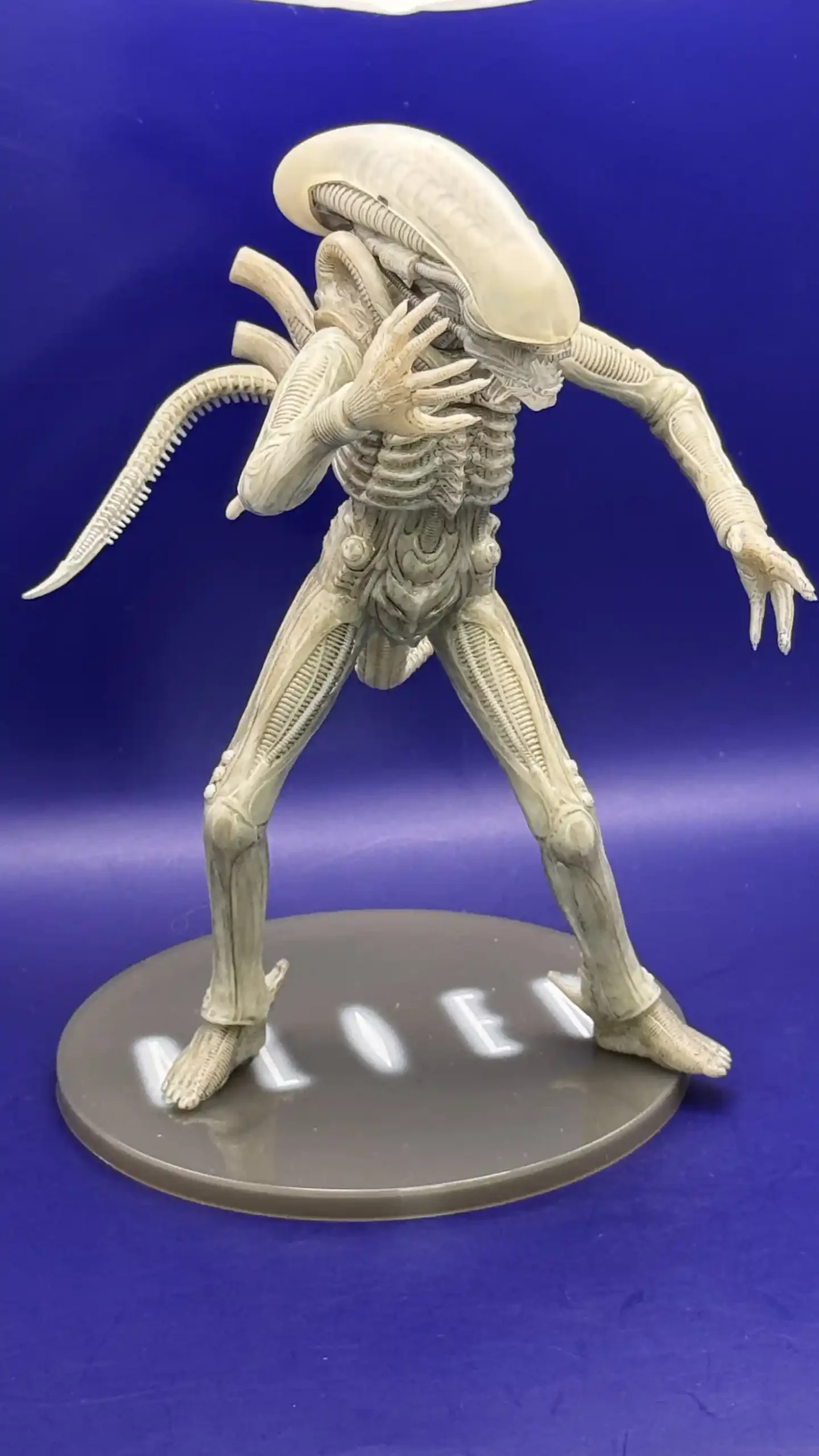 Alien Xenomorph Twelfth Scale Concept Edition Exclusive Figure Review24