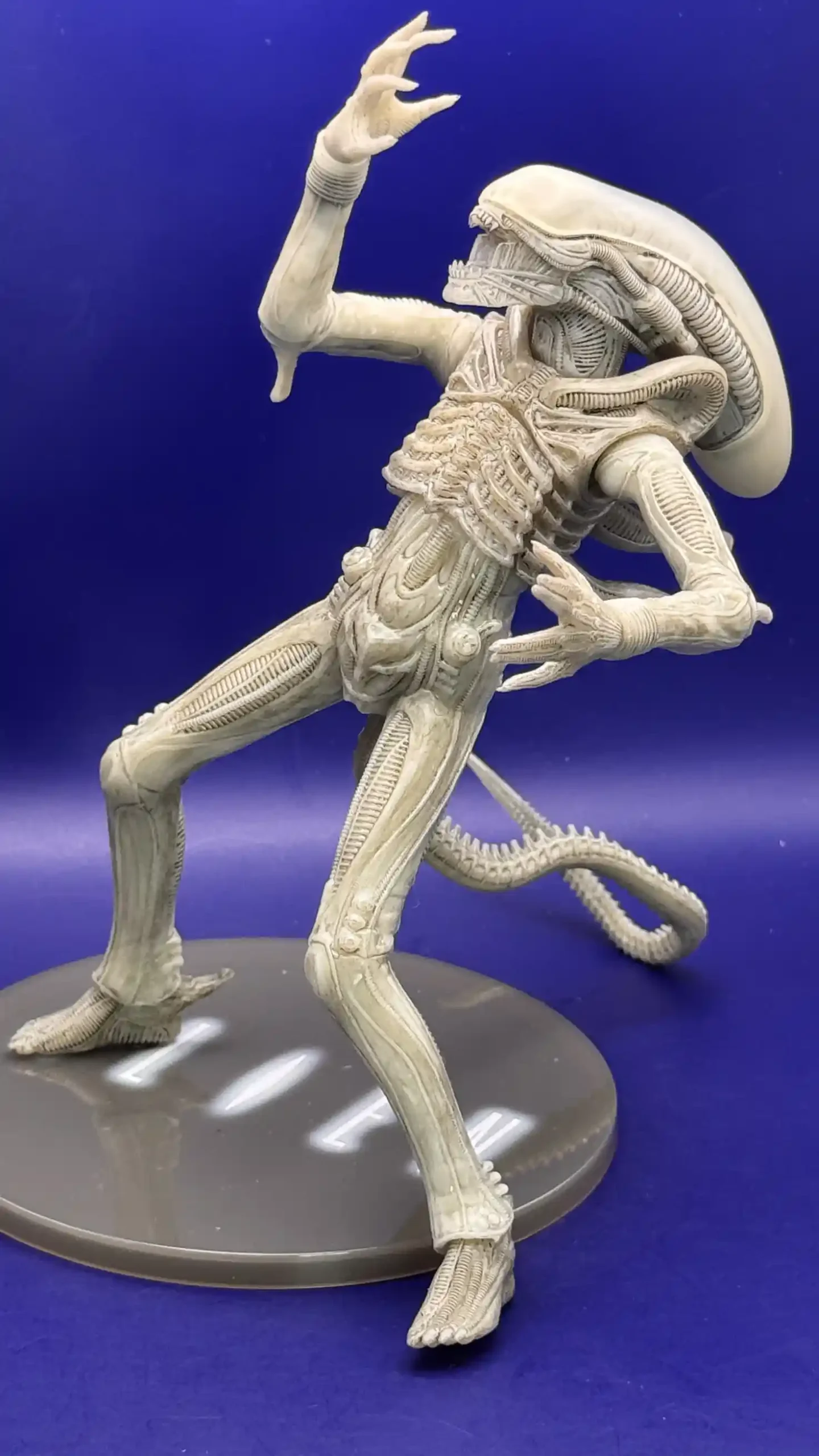 Alien Xenomorph Twelfth Scale Concept Edition Exclusive Figure Review25