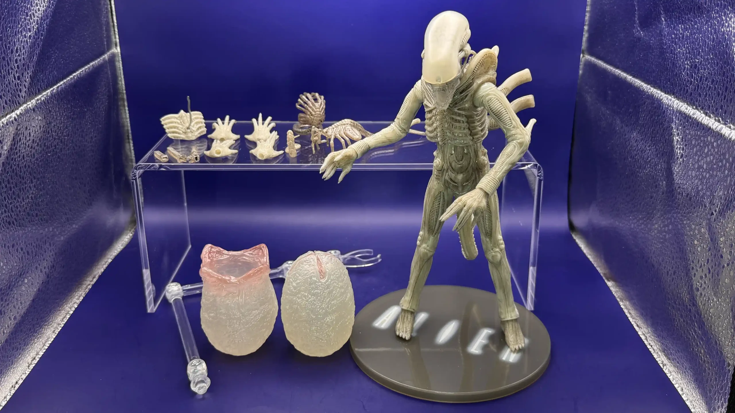 Alien Xenomorph Twelfth Scale Concept Edition Exclusive Figure Review4