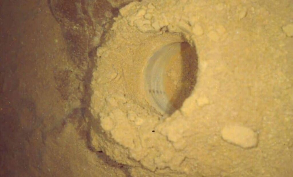 Curiosity Just Found Its Most Complex Mars Organics Yet