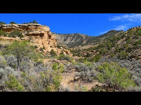 Sego Canyon - Explore this valley known for its stunning rock art and ghost town of Sego.