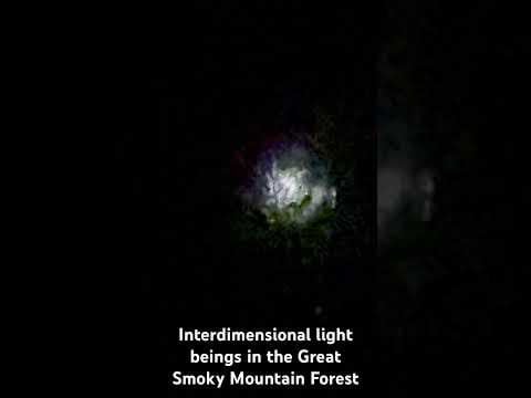 Inter-dimensional beings of light in the Great Smoky Mountain Forests accessed through CE-5 techniques