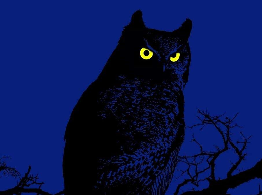 Interview with Mike Clelland on Owl Encounters, Synchronicity & “Threshold” Experiences