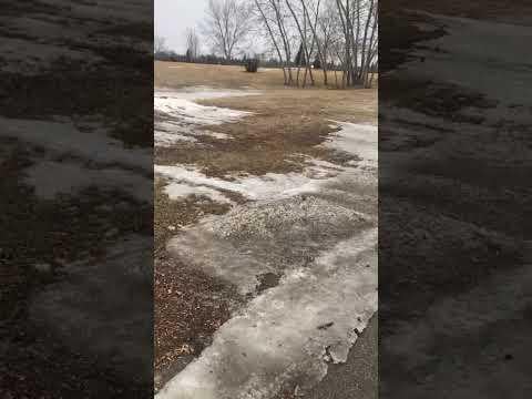 Unknown Howling