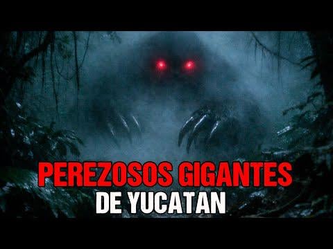 Cave Cow - El Perezoso Gigante de Yucatan