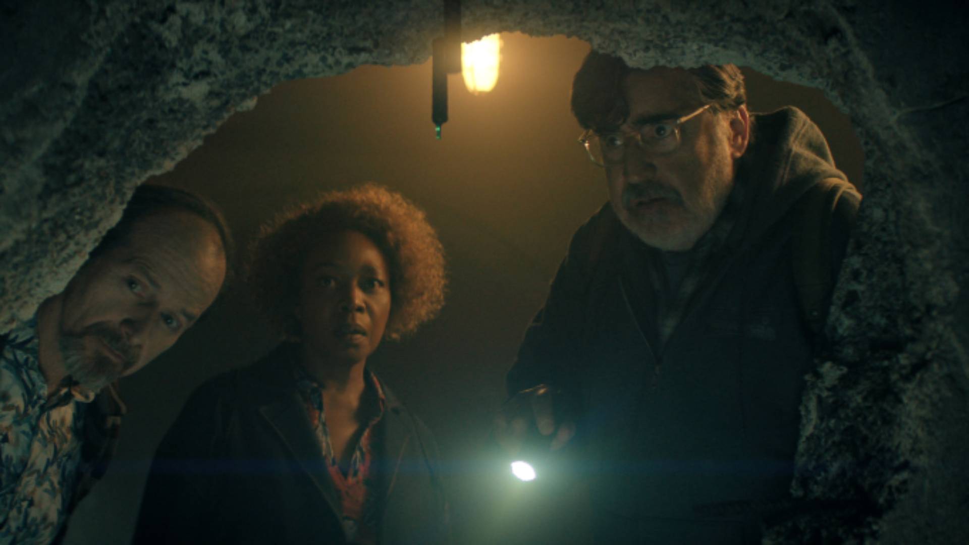 Denis O'Hare, Alfre Woodard, and Alfred Molina in The Boroughs