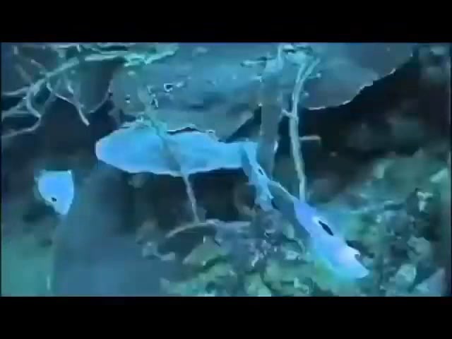 what do you guys think about it?