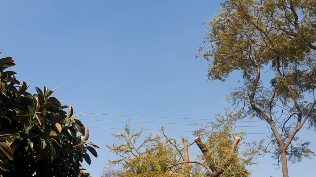 Feb. 9 2026 - Mexico