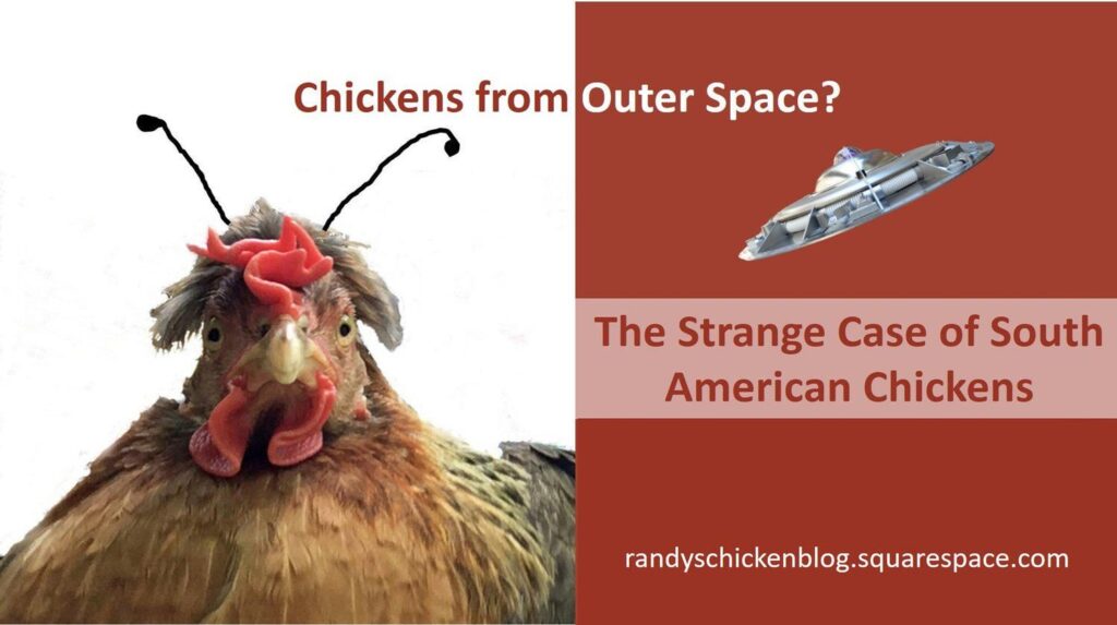Chickens from Outer Space? The Strange Case of South American Chickens Chickens from Outer Space? The Strange Case of South American Chickens