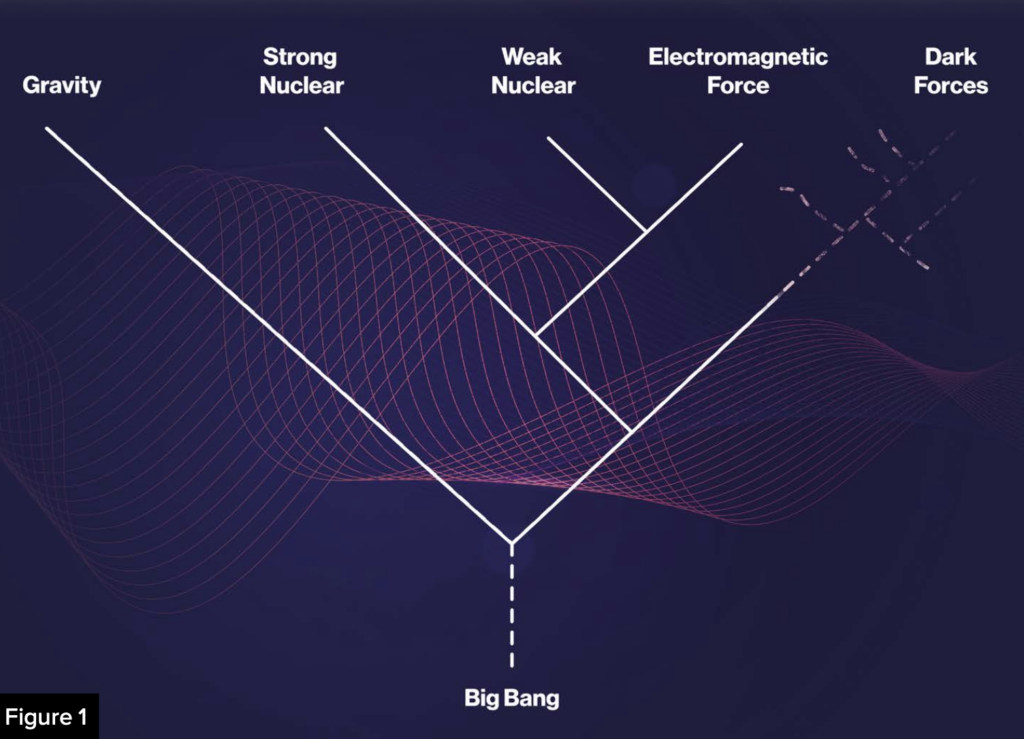 Evolution as a driving force in the universe: The evoluton