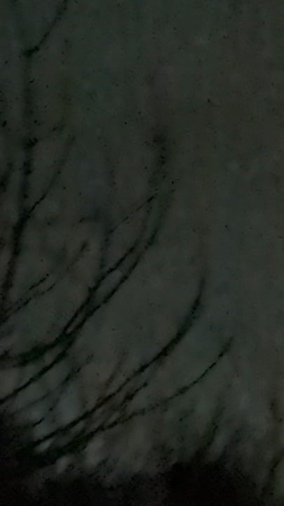 Aircraft? I can't find any that do that? UK