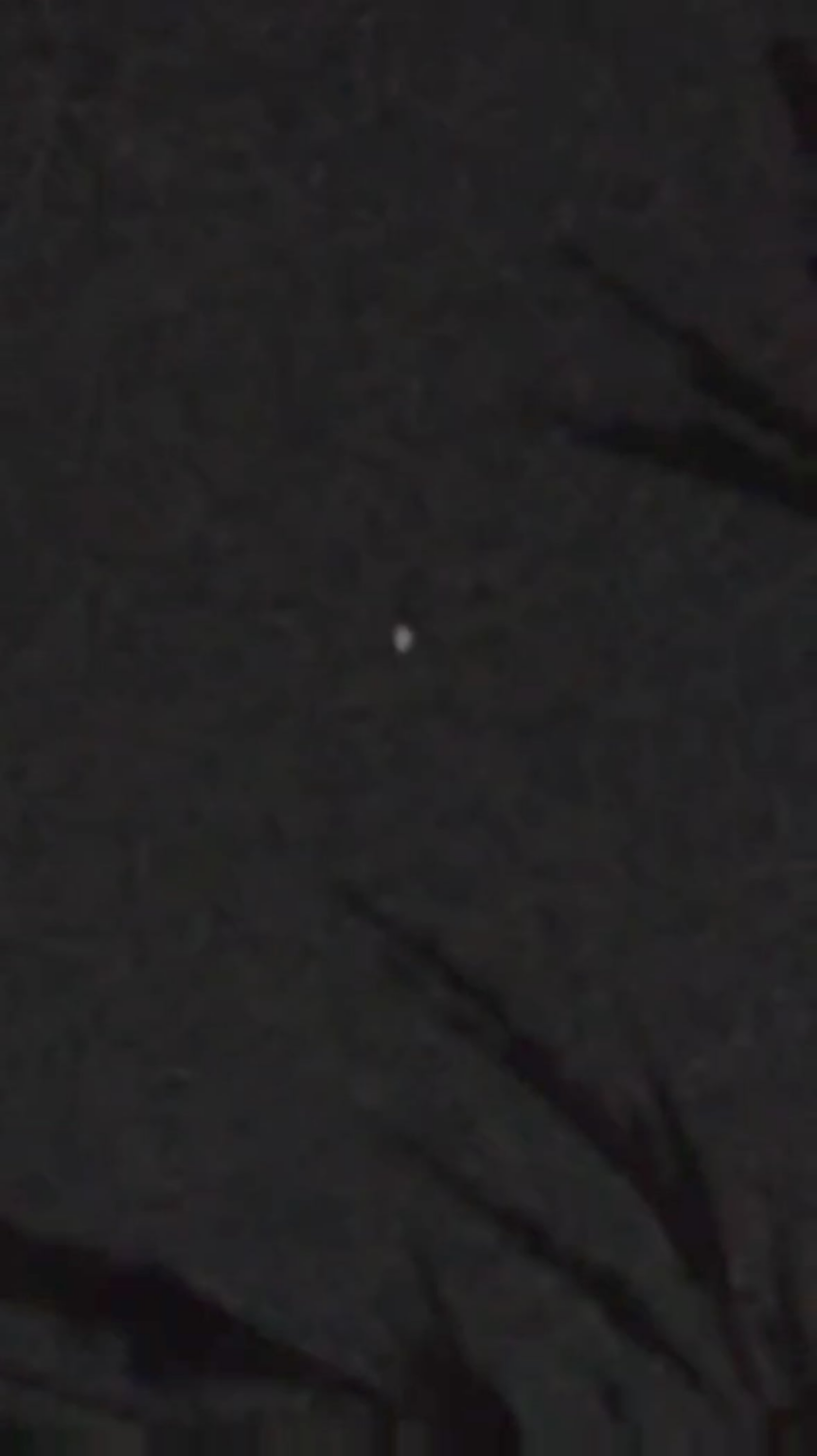 Called out to the universe and actually got a response