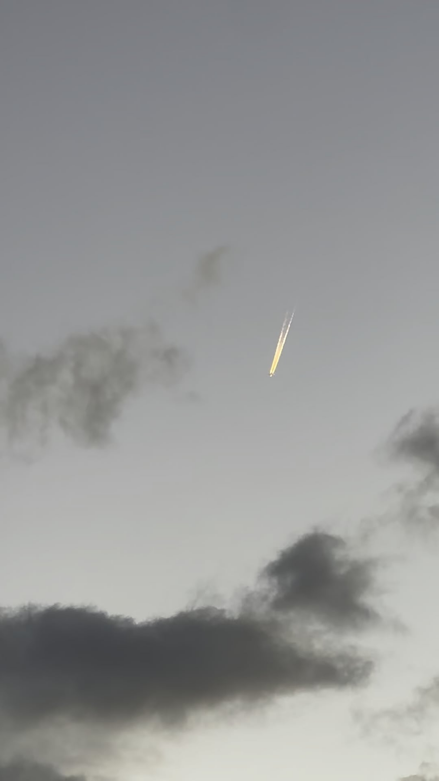 saw this, any idea what this is?