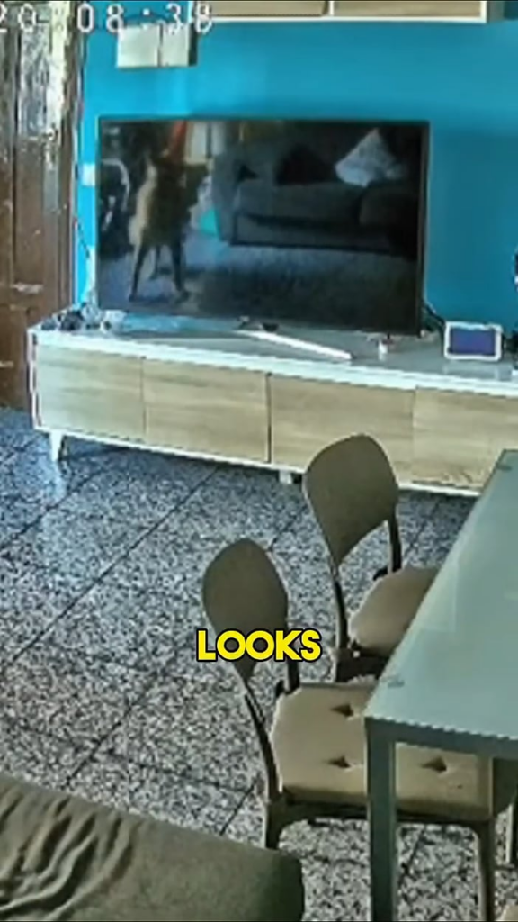 Ghost Pulls Dog Collar Off!