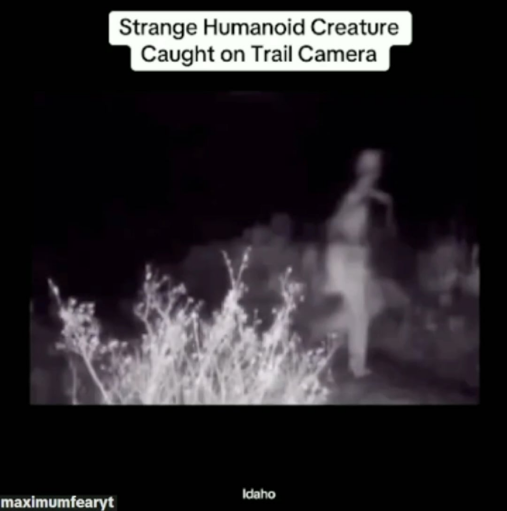 Monster Caught On Video!