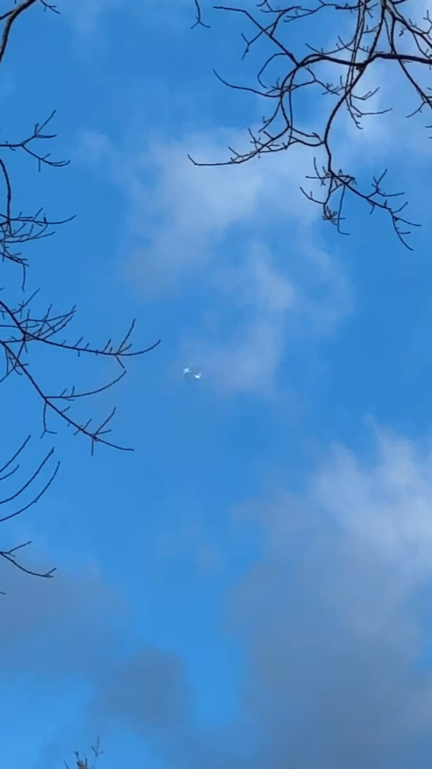 Anyone has idea what this is? It was flying east to west, about 100km/h, on hight of 150m, Mid Vancouver Island.