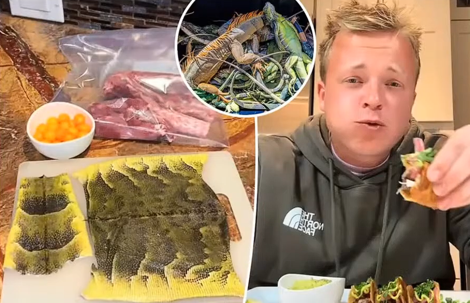 Obama’s UFO Clarification, Brutal New Sport and Ice Cream Cutlets Shock Listeners in Cleveland Podcast Obama’s UFO Clarification, Brutal New Sport and Ice Cream Cutlets Shock Listeners in Cleveland Podcast