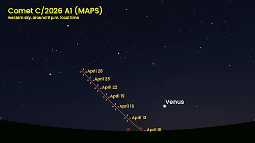 Comet 2026 A1 MAPS western sky - Stellarium