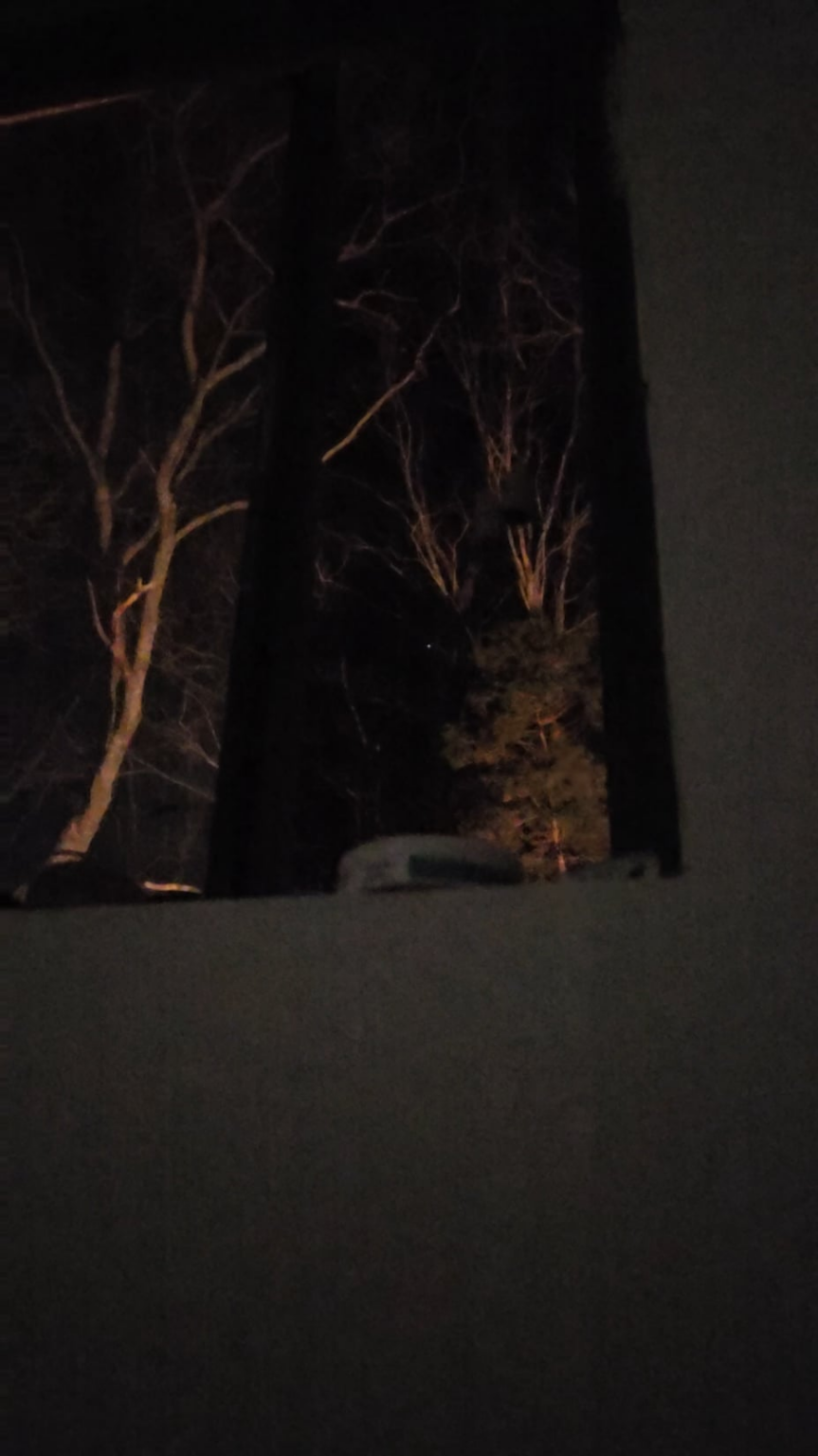 Older video same type of ball like light vero editing