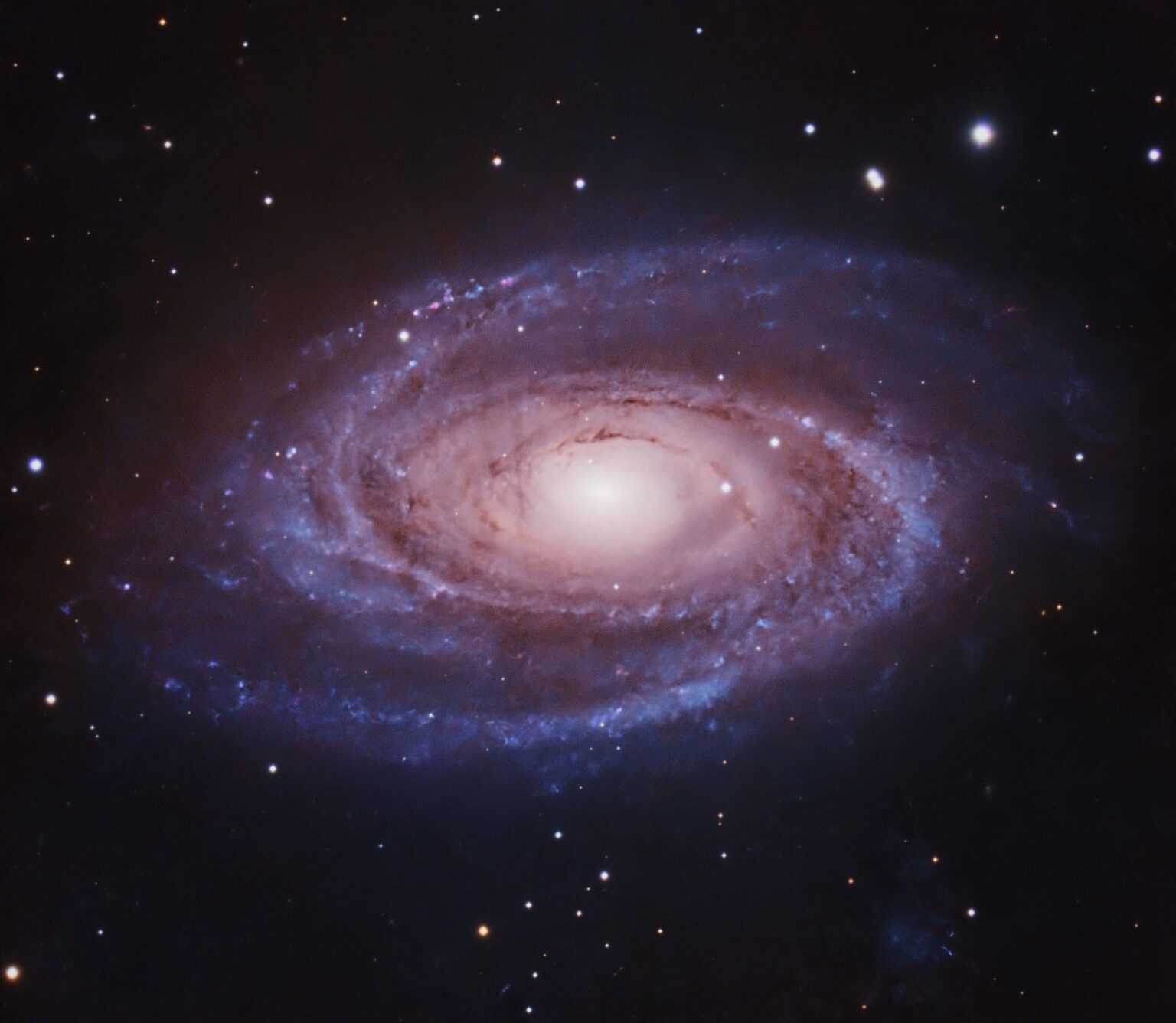 M81 Bode’s Nebula