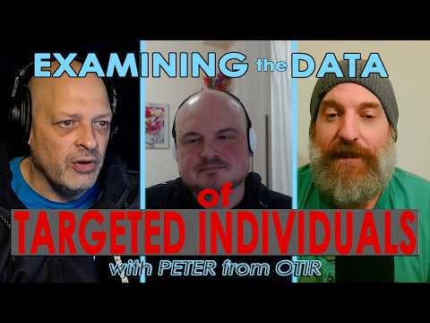 A Metadata Analysis on Targeted Individuals/Experiencers