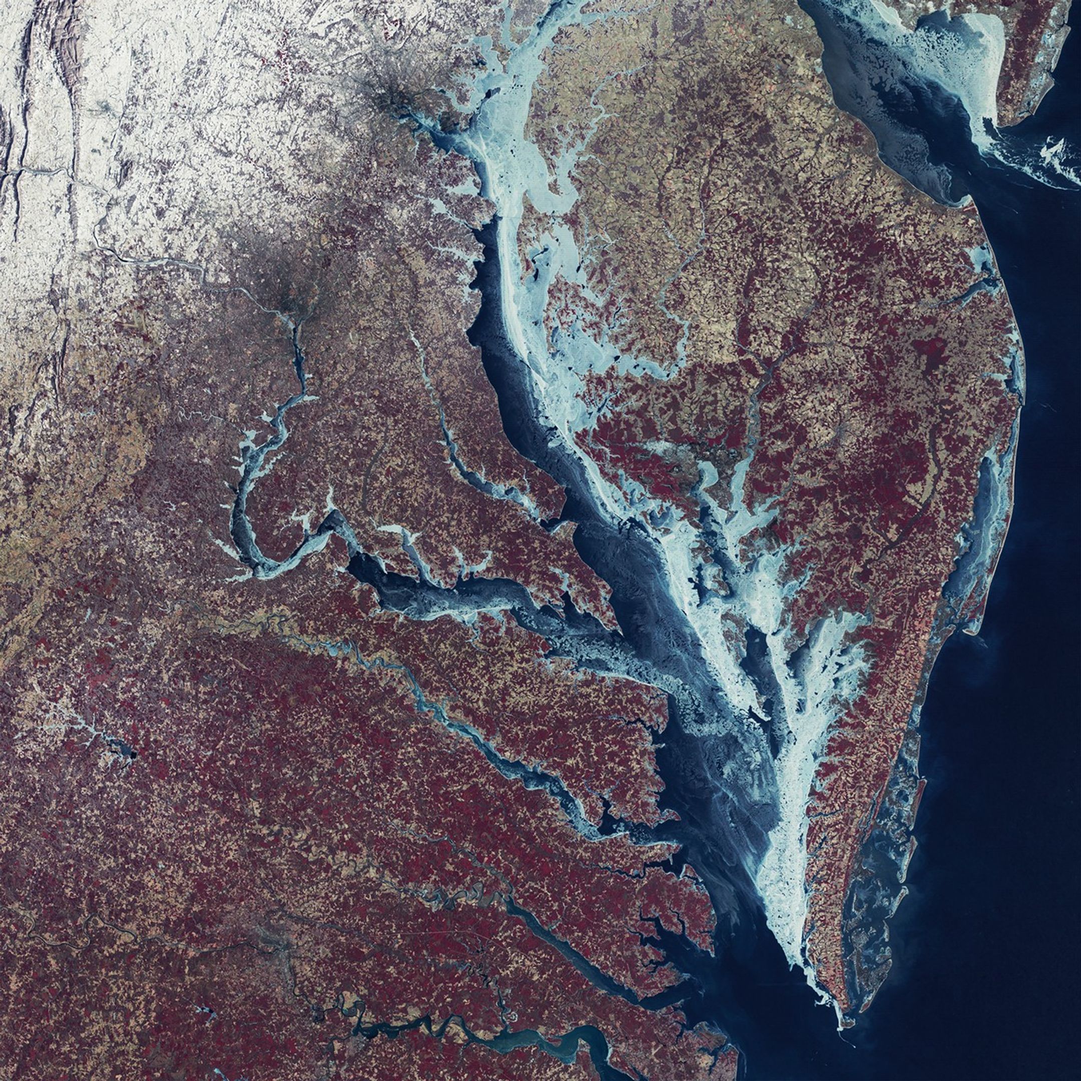 A false-color satellite image of the Chesapeake Bay region shows the bay and its tributaries largely frozen, with the thickest blue and white ice concentrated along the eastern shoreline.