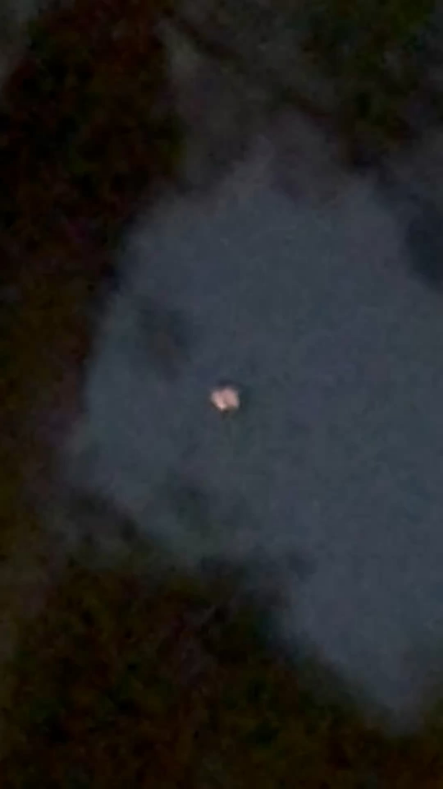 Not sure if this is a plane