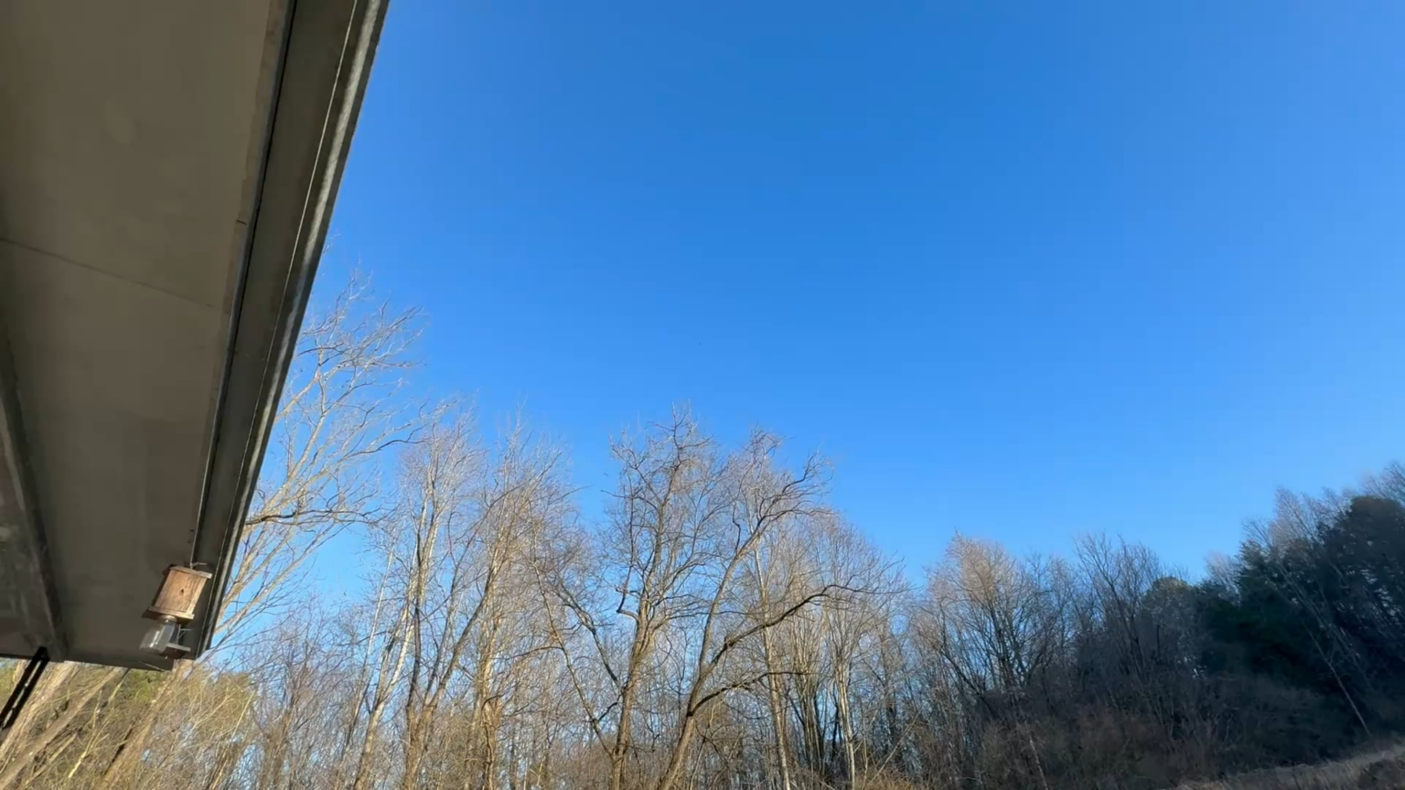 Weird sighting in Tennessee Weird sighting in Tennessee