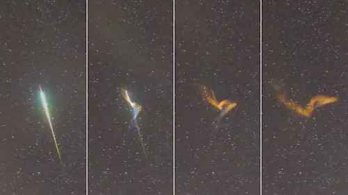 Persistent train Orionids 2022 10 21 - Brenda Tate Tim Doucette