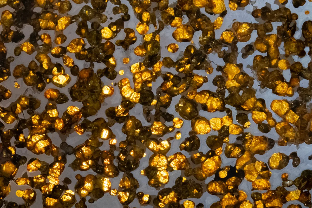 Inside pallasite meteorites found in Kenya, honey-coloured olivine sits suspended in an iron-nickel matrix