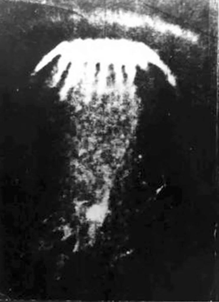 Black and white photograph of the Petrozavodsk Phenomenon, showing a bright, mushroom-shaped light formation in a dark sky with a dense, textured column extending downward.