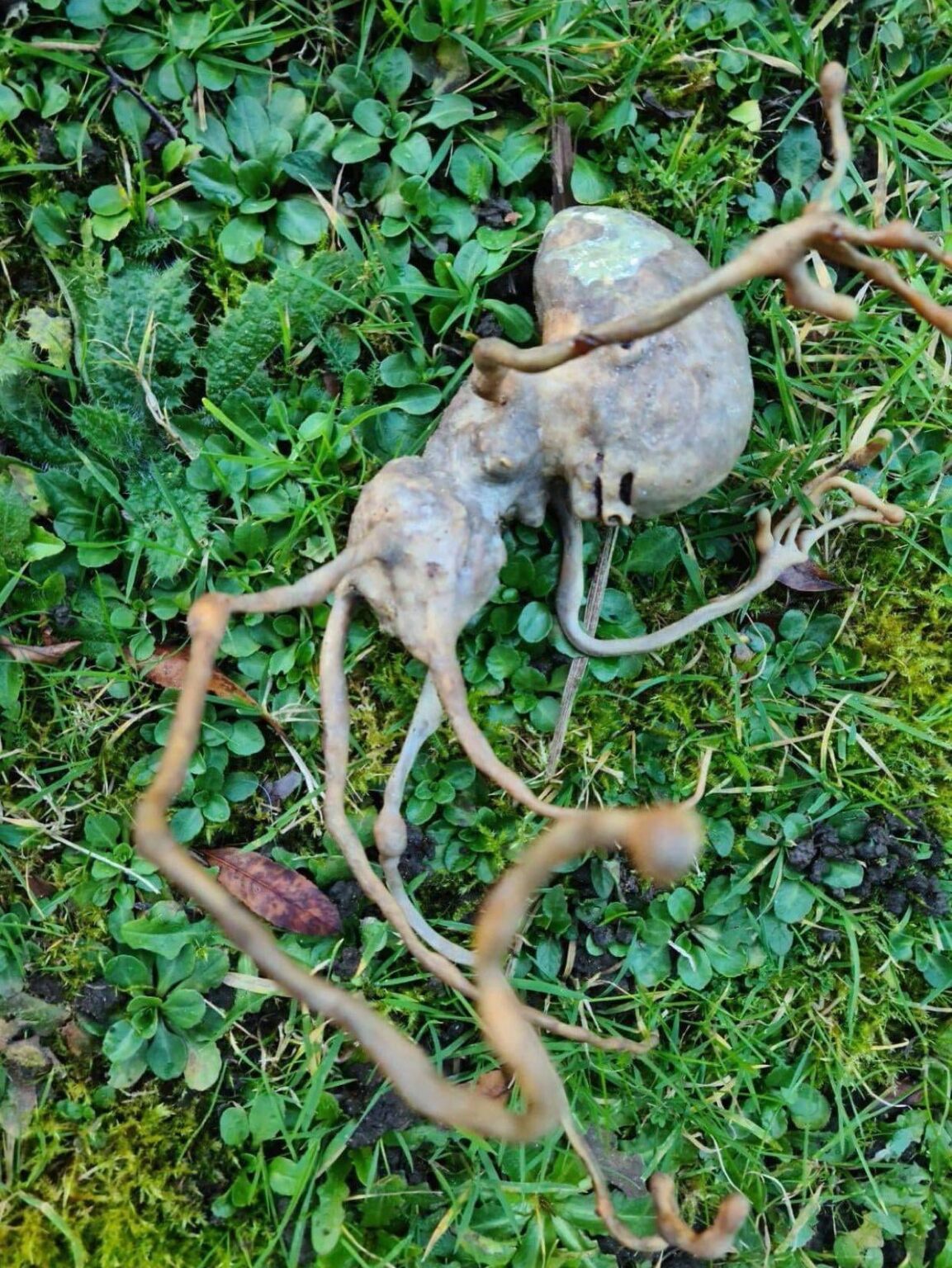 Never forget this ayyy lmao