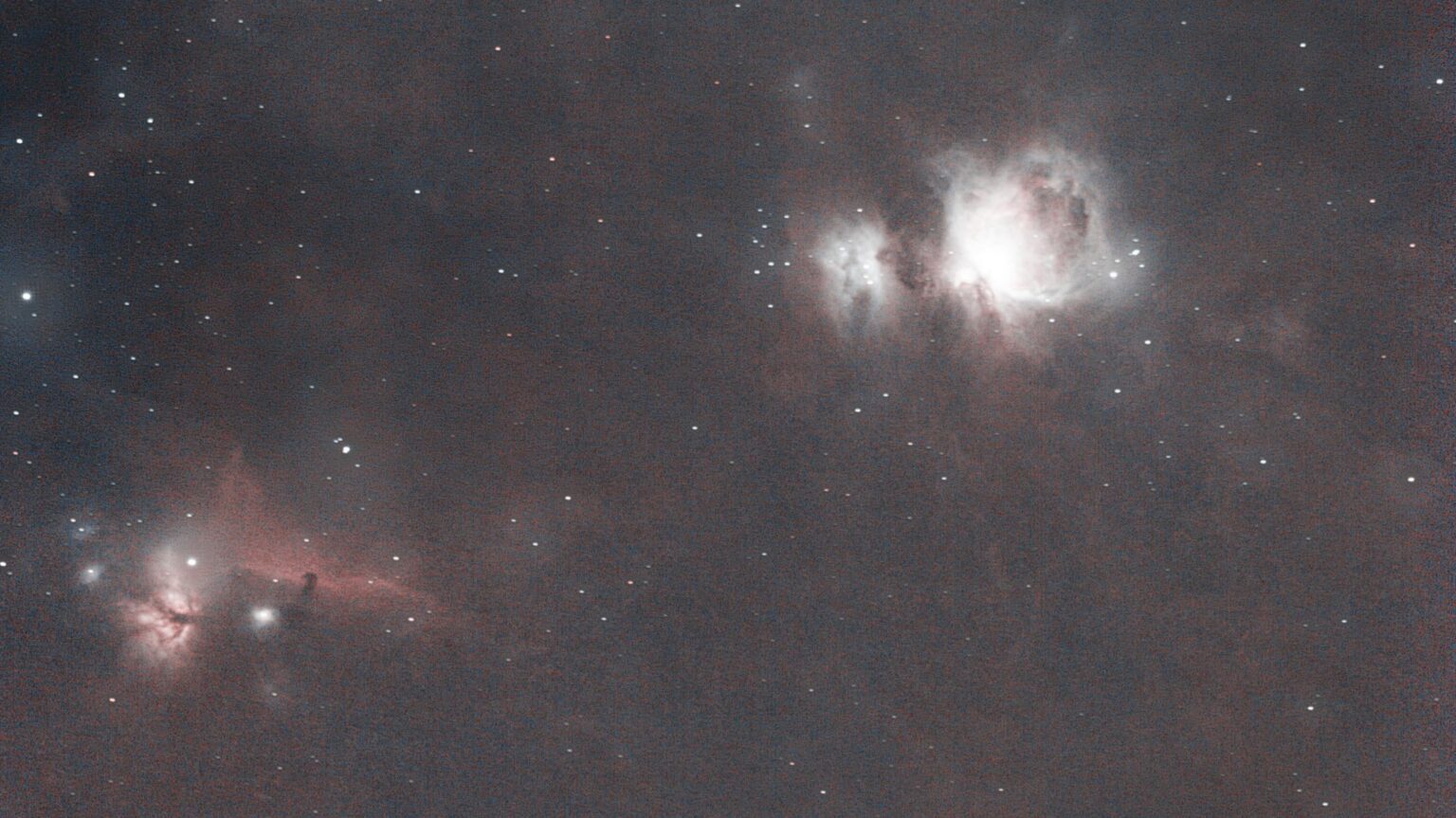 Orion and horse head