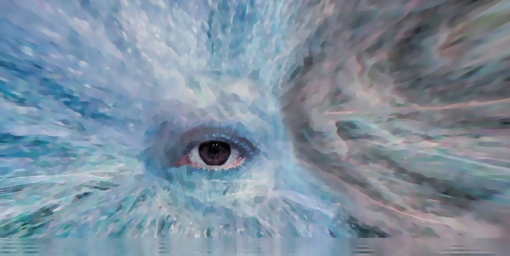 A Physicist Puts Heaven at the Edge of the Universe