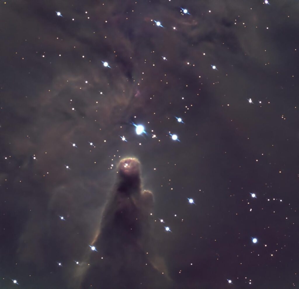 NGC 2264
