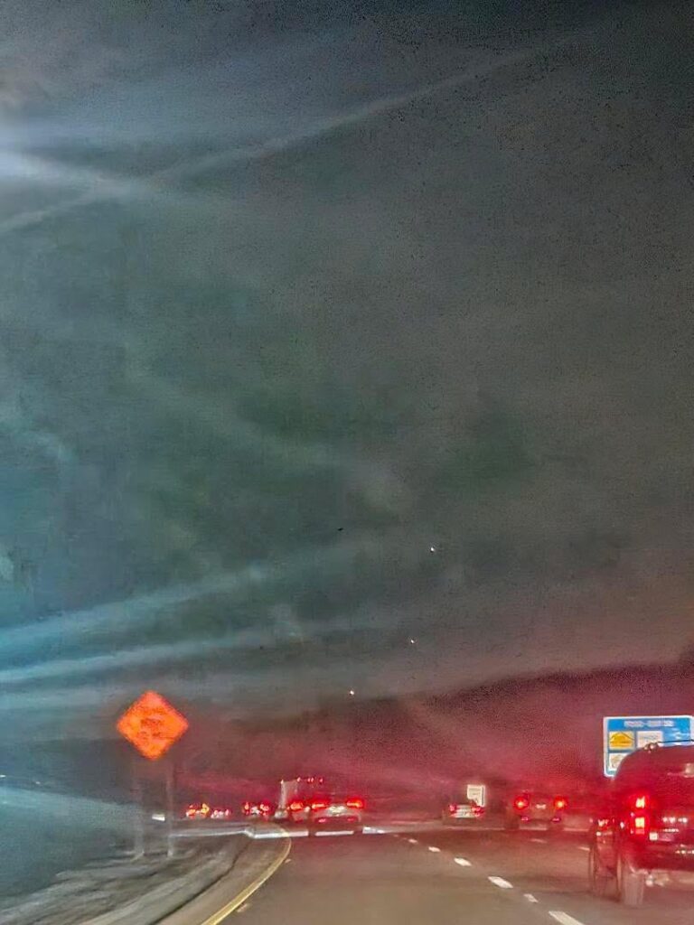 What am i looking at?