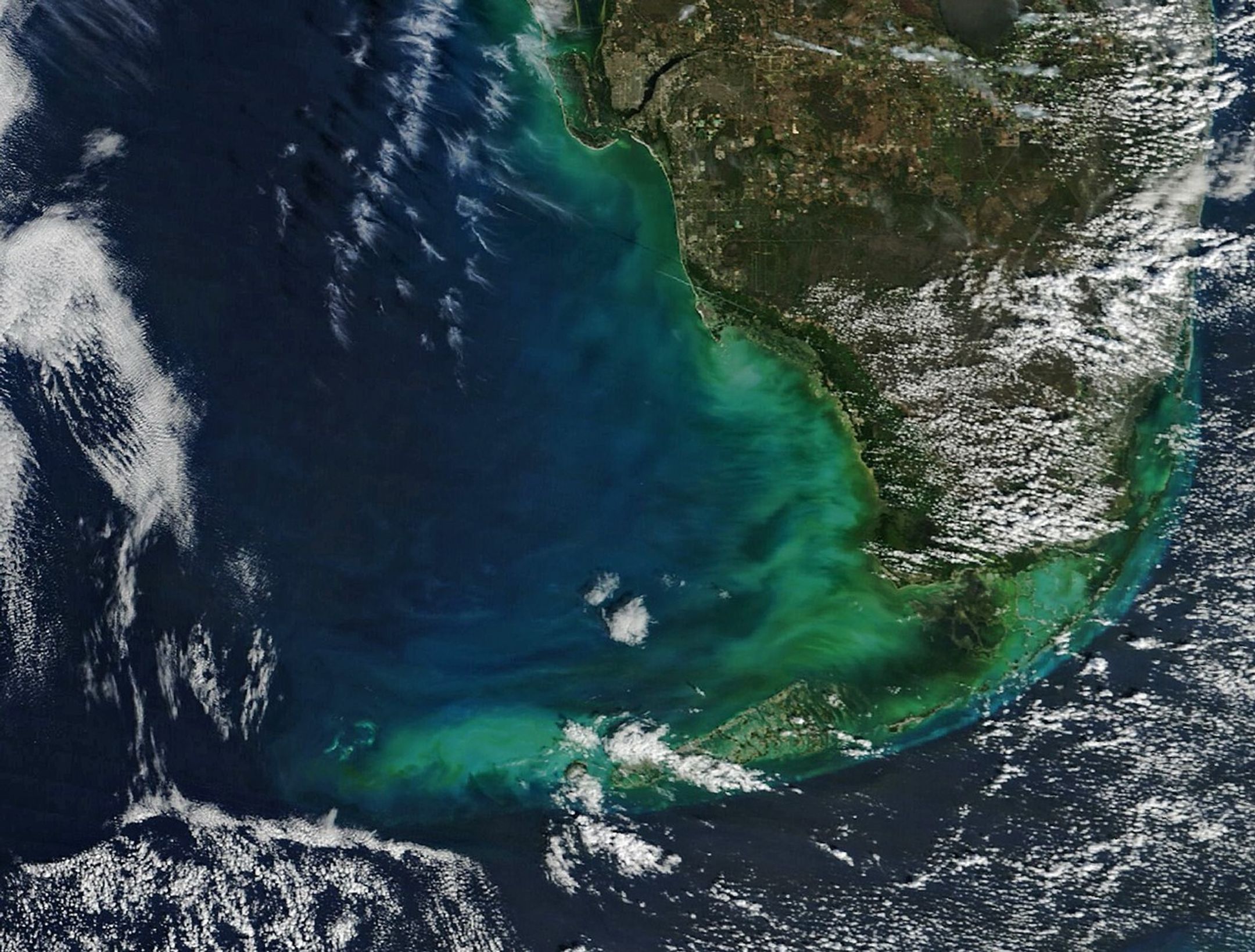 Gulf waters off southwestern Florida appear dark blue, except for some lighter greenish areas along the coast and Florida Keys.