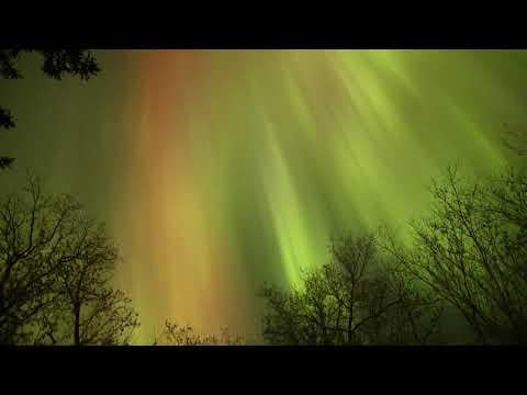 A 4200 photo Aurora time lapse I recorded in November