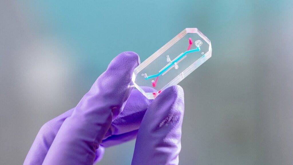 NASA's Artemis 2 astronauts will fly around the moon with these 'avatars'